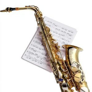 Mel Bay Saxophone Songbook Improvisation Guide 180-Page Kindle Edition-0