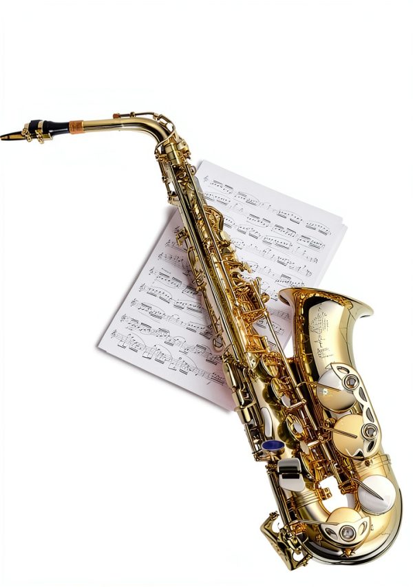 Mel Bay Saxophone Songbook Improvisation Guide 180-Page Kindle Edition-0