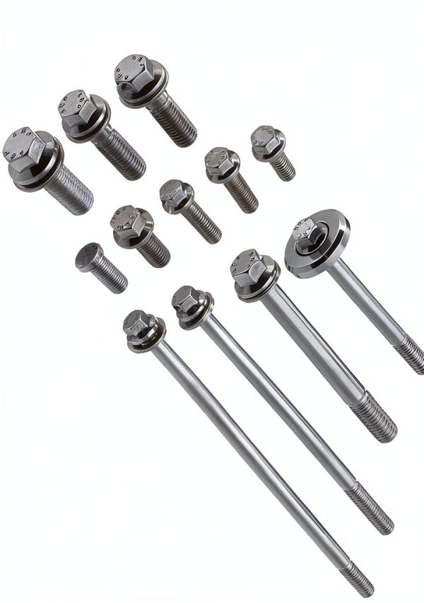ARP 534-9605 6-Point Stainless Steel Complete Engine Fastener Kit for GM LS-0